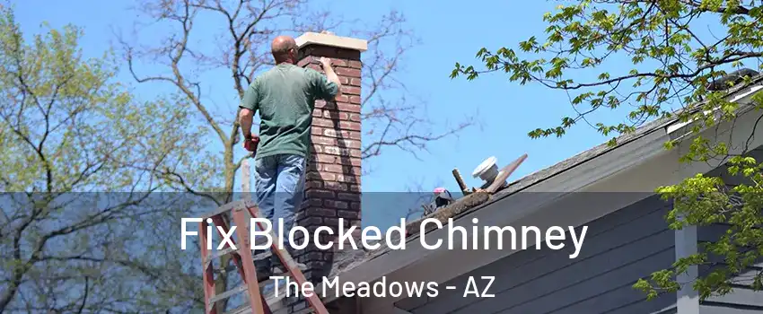 Fix Blocked Chimney The Meadows - AZ