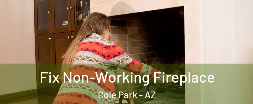 Fix Non-Working Fireplace Cole Park - AZ