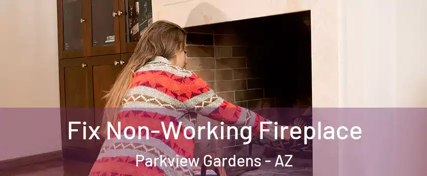 Fix Non-Working Fireplace Parkview Gardens - AZ