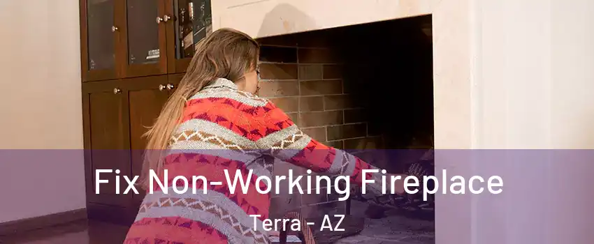 Fix Non-Working Fireplace Terra - AZ