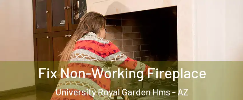 Fix Non-Working Fireplace University Royal Garden Hms - AZ