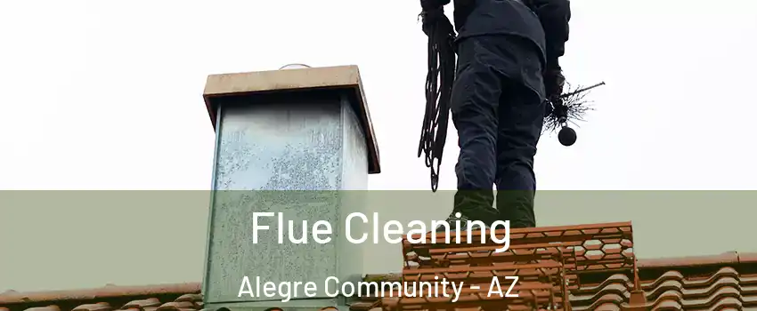 Flue Cleaning Alegre Community - AZ