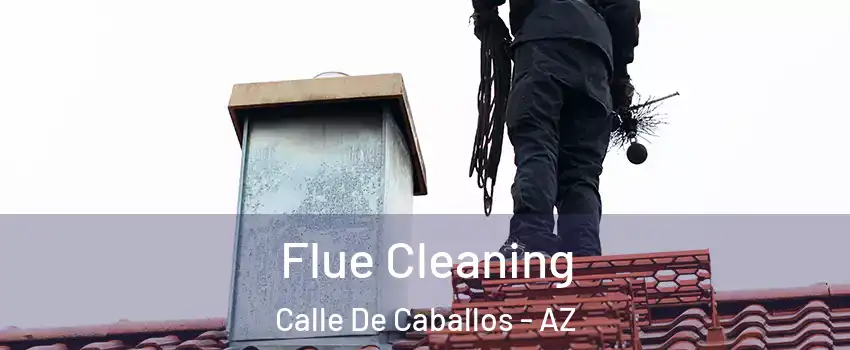 Flue Cleaning Calle De Caballos - AZ