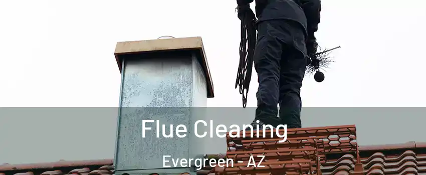 Flue Cleaning Evergreen - AZ