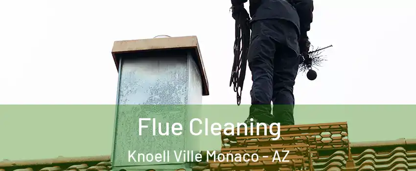 Flue Cleaning Knoell Ville Monaco - AZ