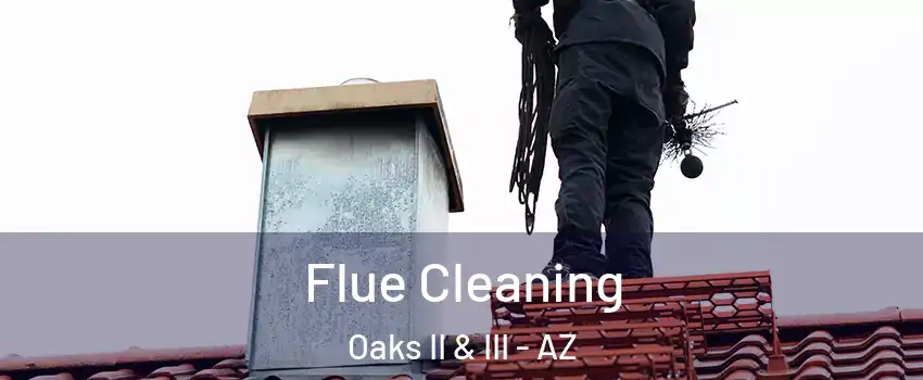 Flue Cleaning Oaks II & III - AZ