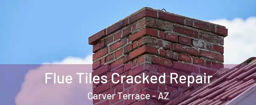 Flue Tiles Cracked Repair Carver Terrace - AZ