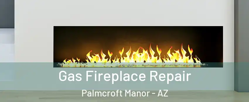 Gas Fireplace Repair Palmcroft Manor - AZ