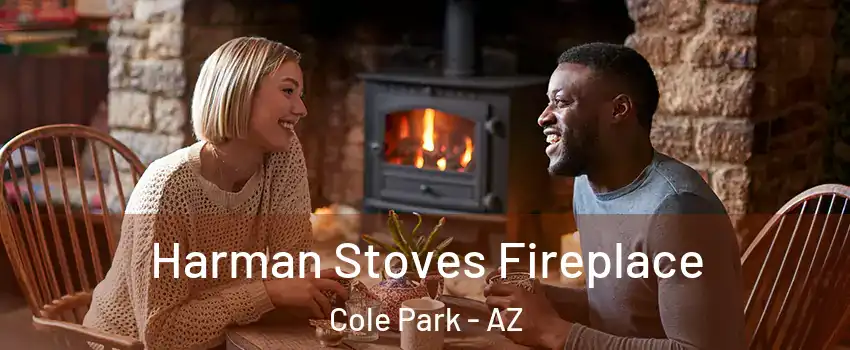 Harman Stoves Fireplace Cole Park - AZ