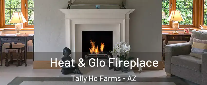 Heat & Glo Fireplace Tally Ho Farms - AZ