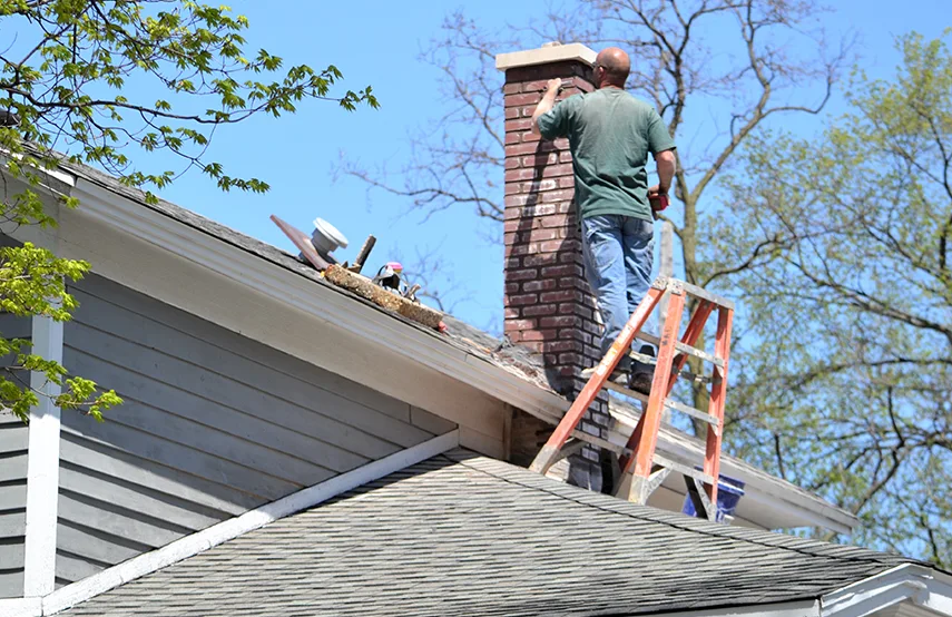 Chimney & Fireplace Inspections Services in Tempe, AZ