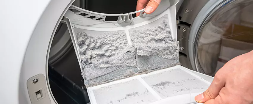 Best Dryer Lint Removal Company in Oasis at Anozira, Arizona