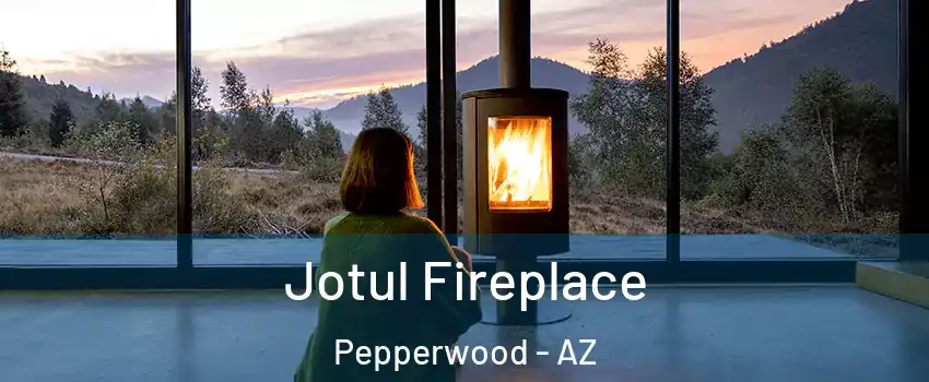 Jotul Fireplace Pepperwood - AZ