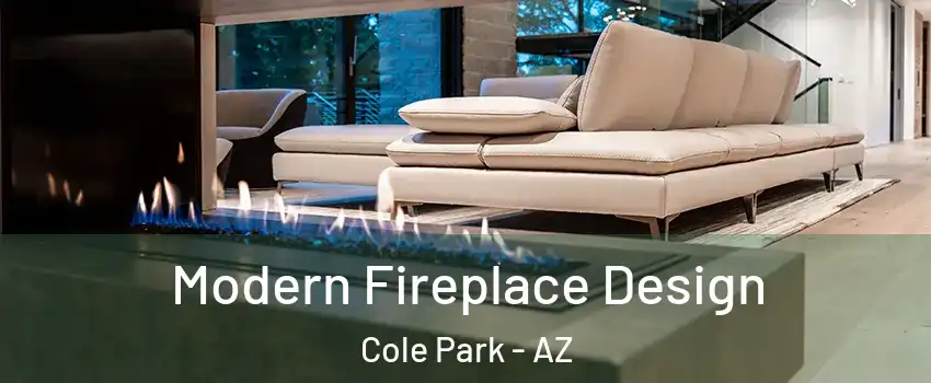 Modern Fireplace Design Cole Park - AZ