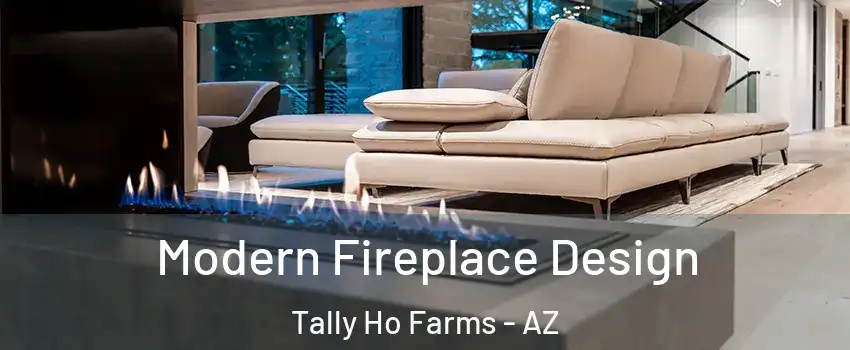 Modern Fireplace Design Tally Ho Farms - AZ