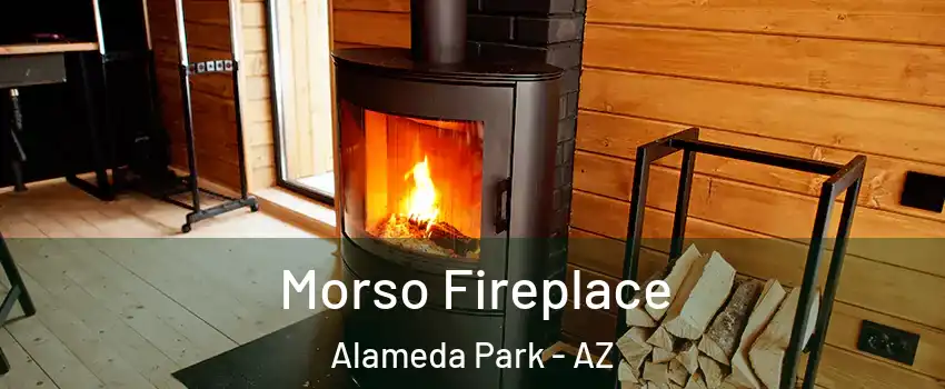 Morso Fireplace Alameda Park - AZ