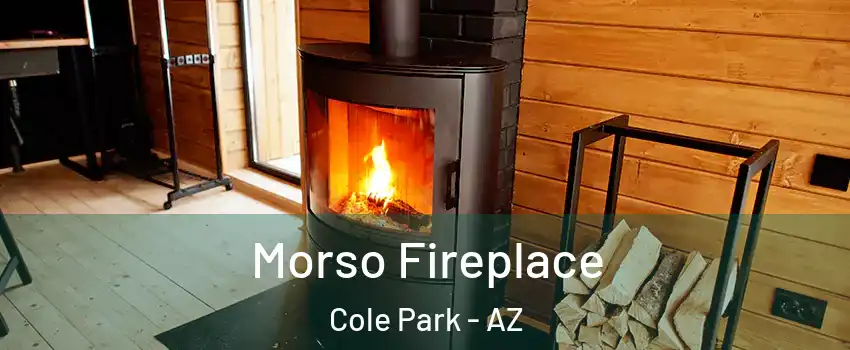 Morso Fireplace Cole Park - AZ