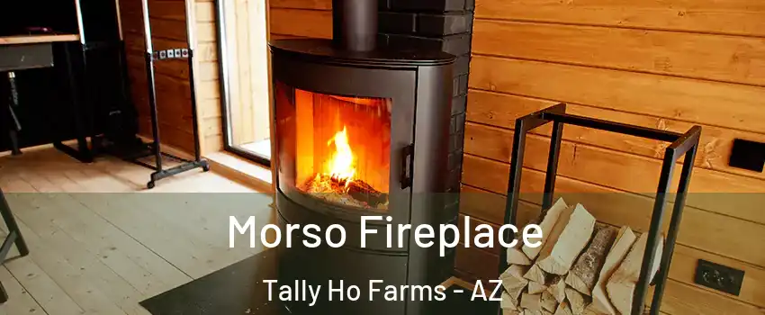 Morso Fireplace Tally Ho Farms - AZ