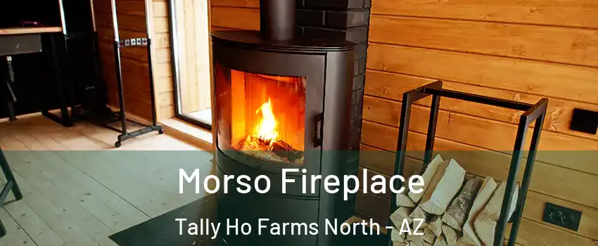 Morso Fireplace Tally Ho Farms North - AZ