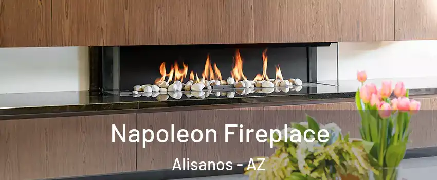 Napoleon Fireplace Alisanos - AZ