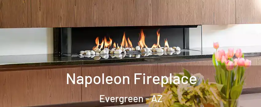 Napoleon Fireplace Evergreen - AZ