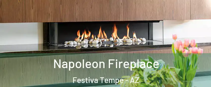 Napoleon Fireplace Festiva Tempe - AZ