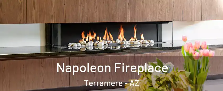 Napoleon Fireplace Terramere - AZ