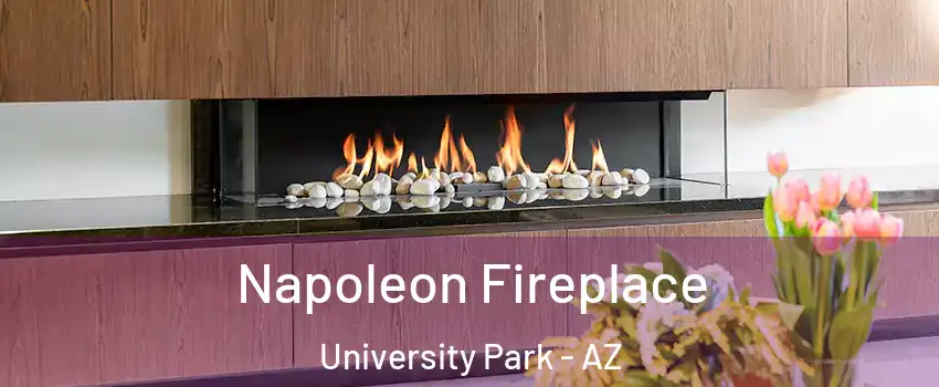 Napoleon Fireplace University Park - AZ