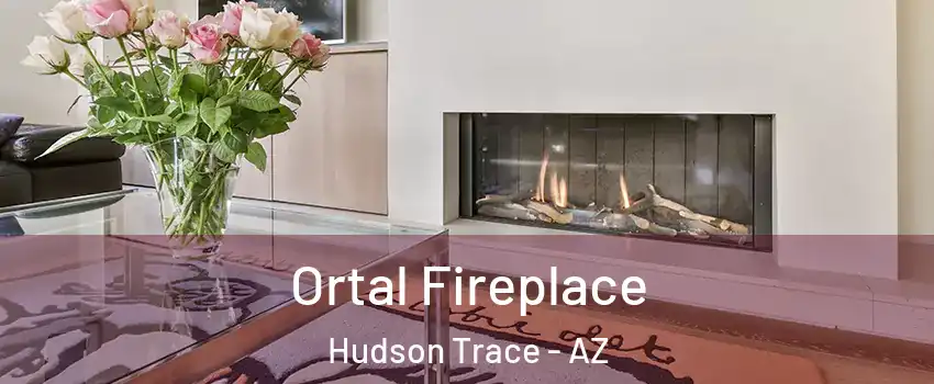 Ortal Fireplace Hudson Trace - AZ