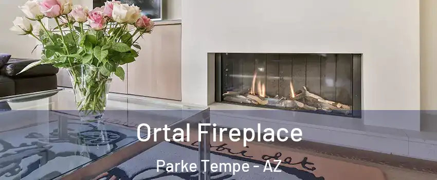 Ortal Fireplace Parke Tempe - AZ