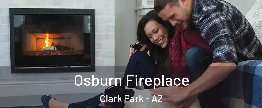 Osburn Fireplace Clark Park - AZ