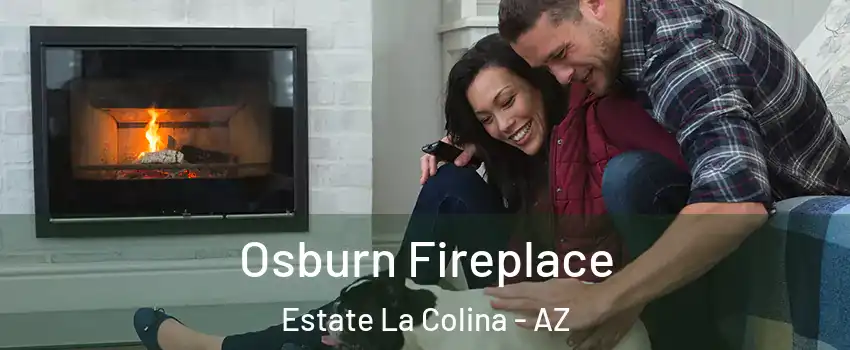 Osburn Fireplace Estate La Colina - AZ