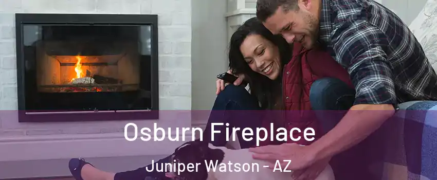 Osburn Fireplace Juniper Watson - AZ