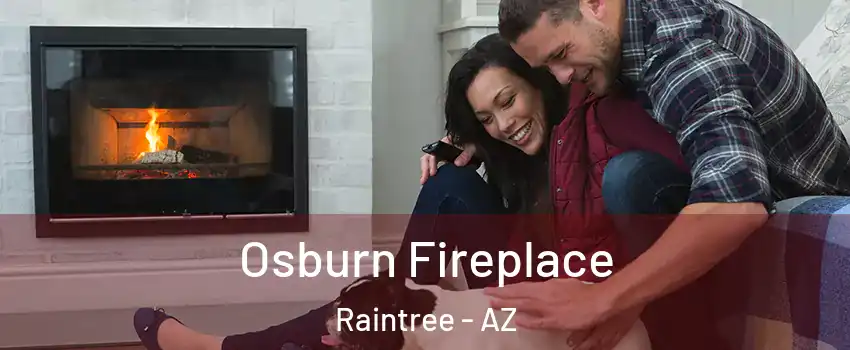 Osburn Fireplace Raintree - AZ