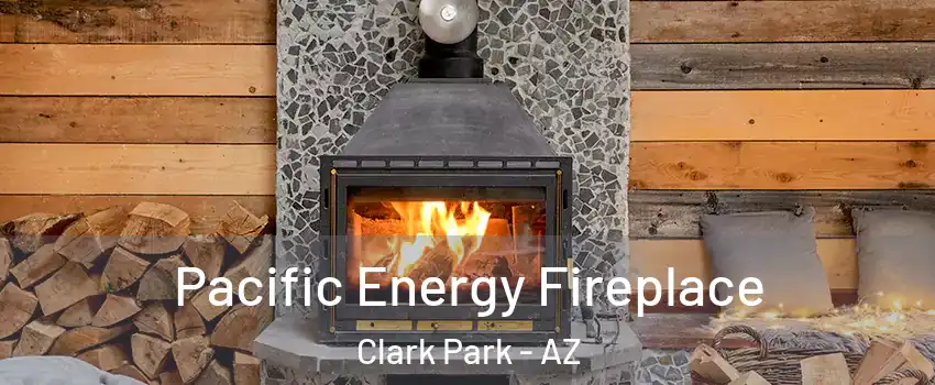 Pacific Energy Fireplace Clark Park - AZ