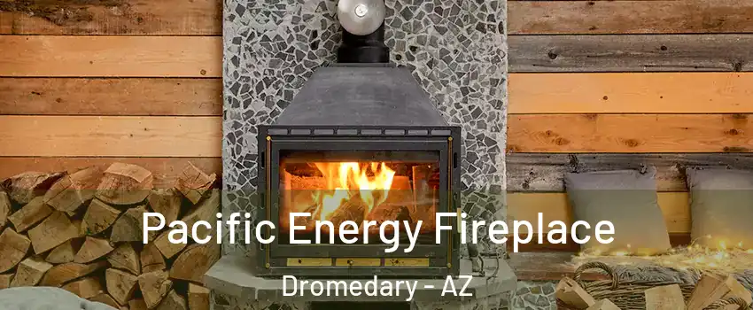 Pacific Energy Fireplace Dromedary - AZ