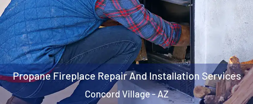 Propane Fireplace Repair And Installation Services Concord Village - AZ