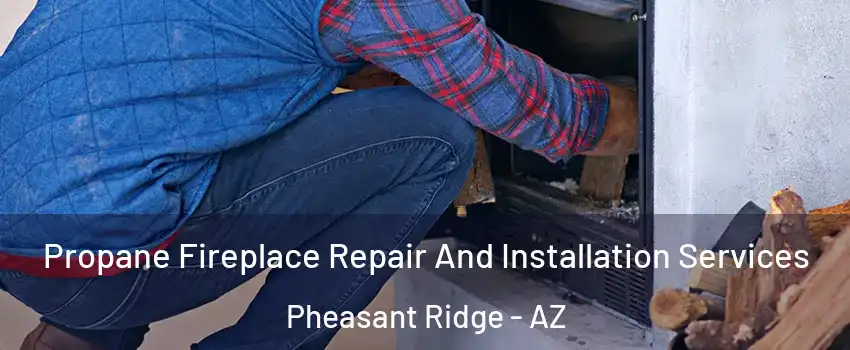 Propane Fireplace Repair And Installation Services Pheasant Ridge - AZ