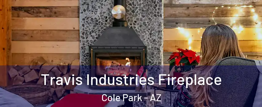 Travis Industries Fireplace Cole Park - AZ