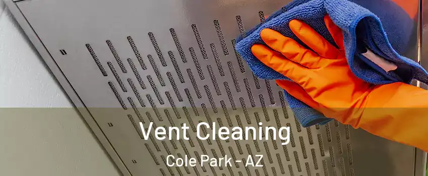 Vent Cleaning Cole Park - AZ