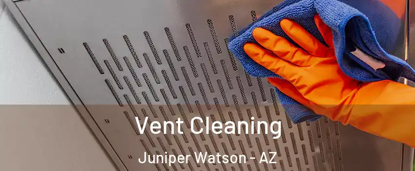 Vent Cleaning Juniper Watson - AZ