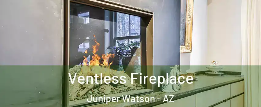 Ventless Fireplace Juniper Watson - AZ