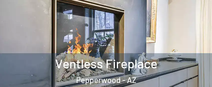 Ventless Fireplace Pepperwood - AZ