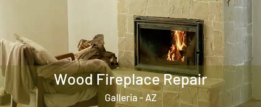 Wood Fireplace Repair Galleria - AZ