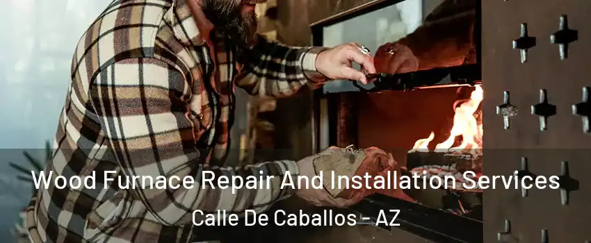 Wood Furnace Repair And Installation Services Calle De Caballos - AZ