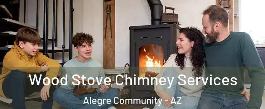 Wood Stove Chimney Services Alegre Community - AZ