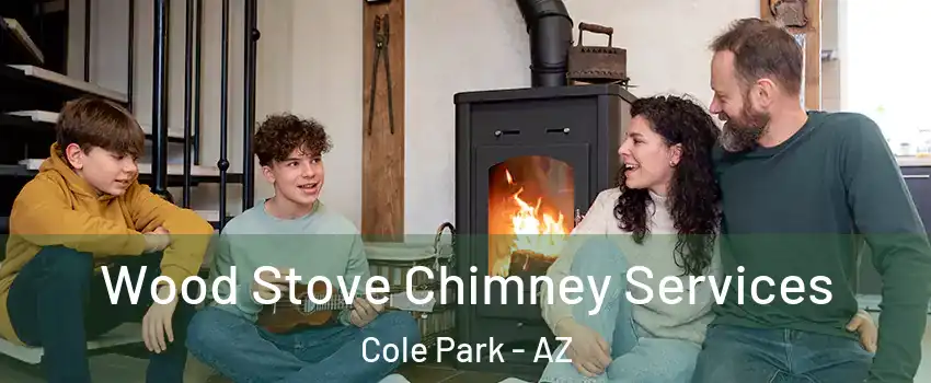 Wood Stove Chimney Services Cole Park - AZ