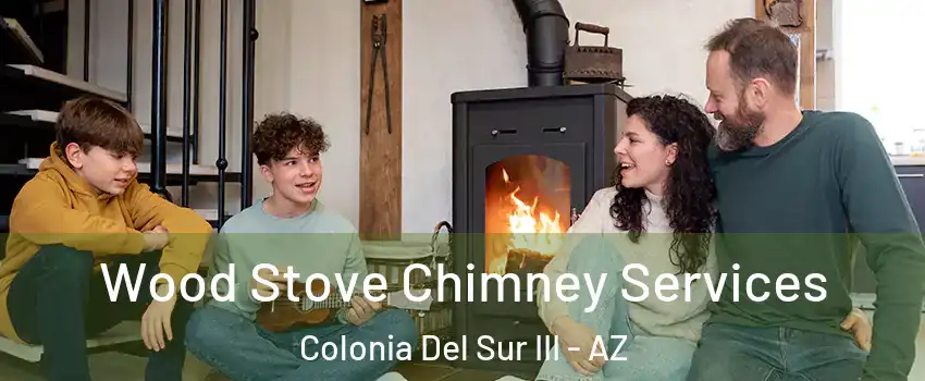 Wood Stove Chimney Services Colonia Del Sur III - AZ