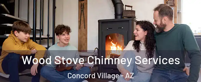 Wood Stove Chimney Services Concord Village - AZ