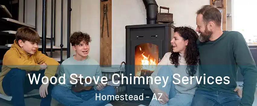 Wood Stove Chimney Services Homestead - AZ